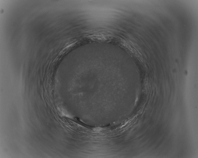 X0000082681297200702091622