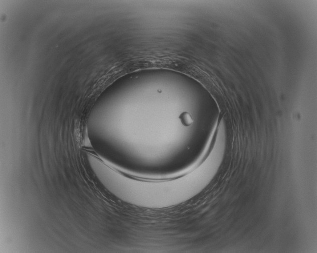 X0000082681298200702091622