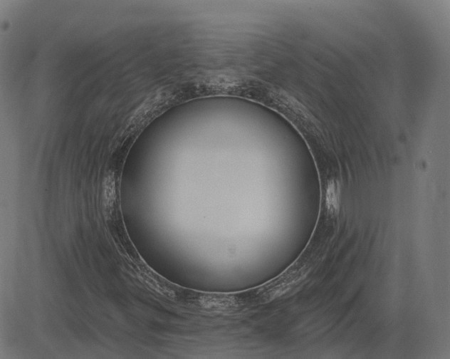 X0000082681299200702091622