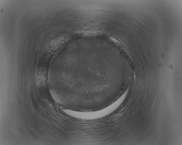 X0000082681300200702091622