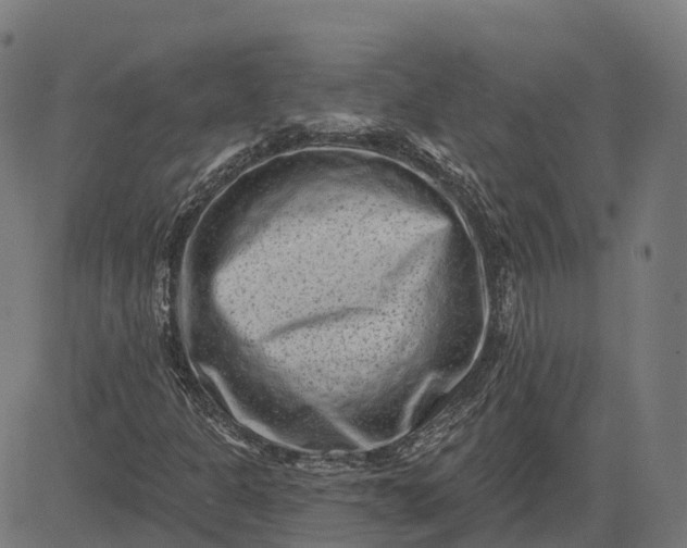 X0000082681301200702091622