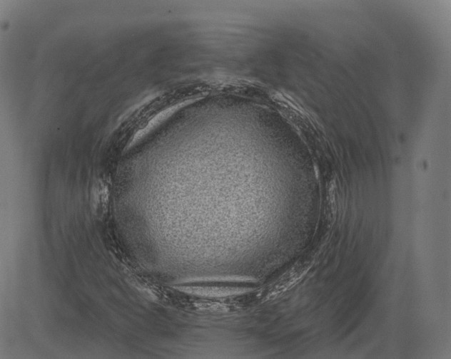 X0000082681302200702091622