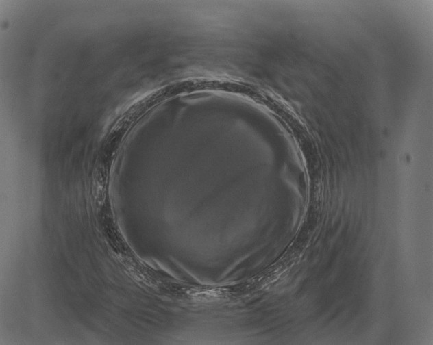 X0000082681303200702091622