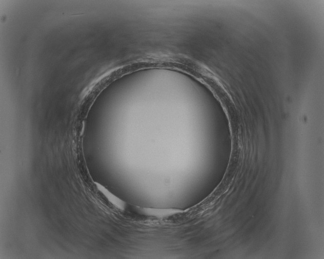 X0000082681304200702091622