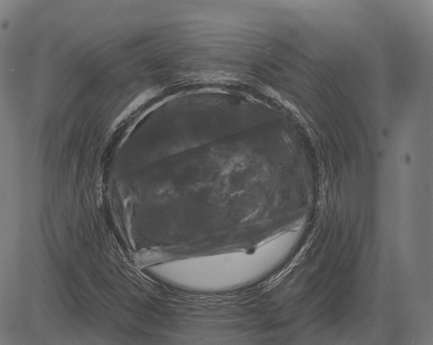 X0000082681306200702091622