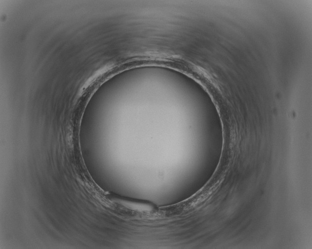 X0000082681307200702091622