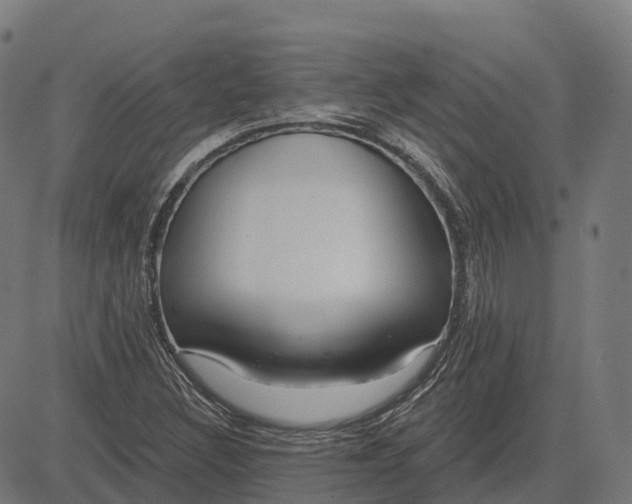 X0000082681308200702091622