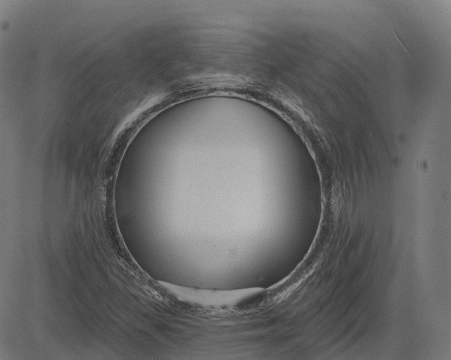 X0000082681309200702091622