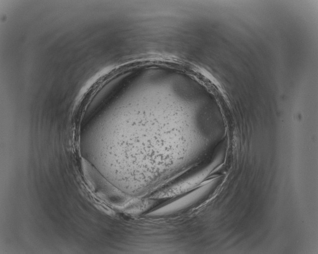 X0000082681310200702091622