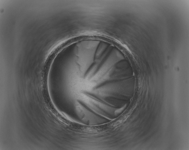 X0000082681311200702091622