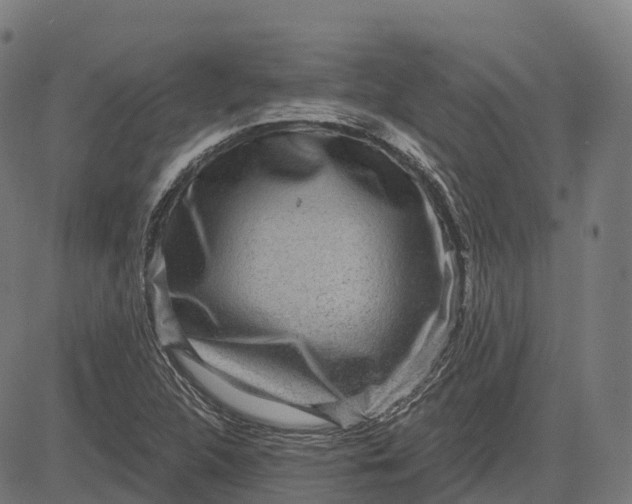 X0000082681312200702091622