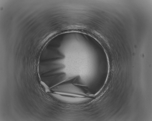 X0000082681313200702091622