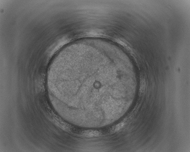 X0000082681314200702091622