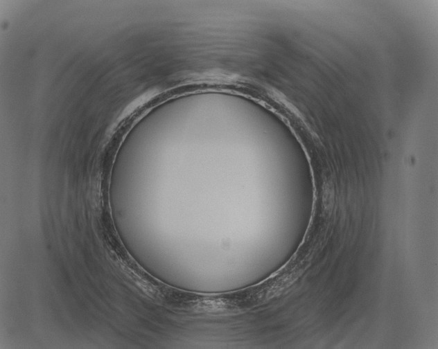 X0000082681315200702091622