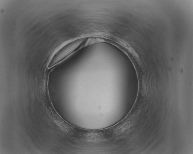 X0000082681316200702091622