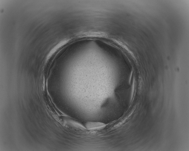 X0000082681317200702091622