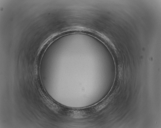 X0000082681318200702091622