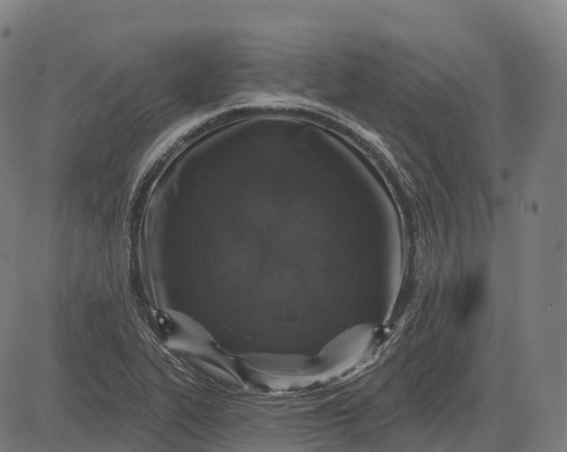 X0000082681319200702091622