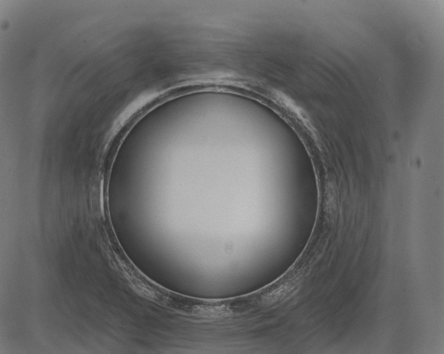 X0000082681320200702091622