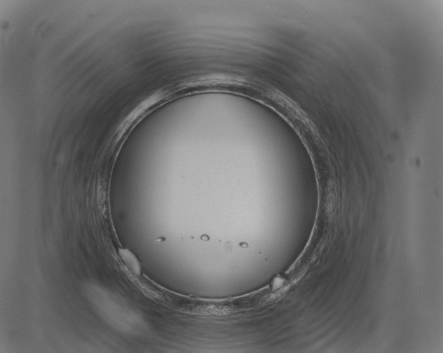 X0000082681321200702091622