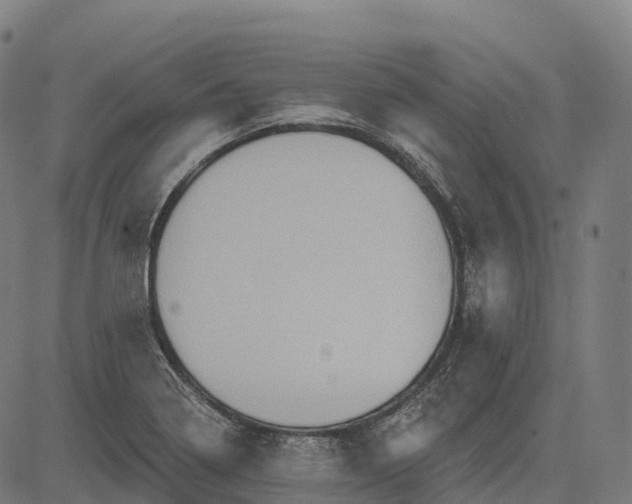 X0000082681322200702091622