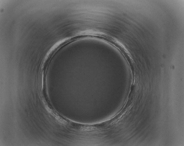 X0000082681323200702091622