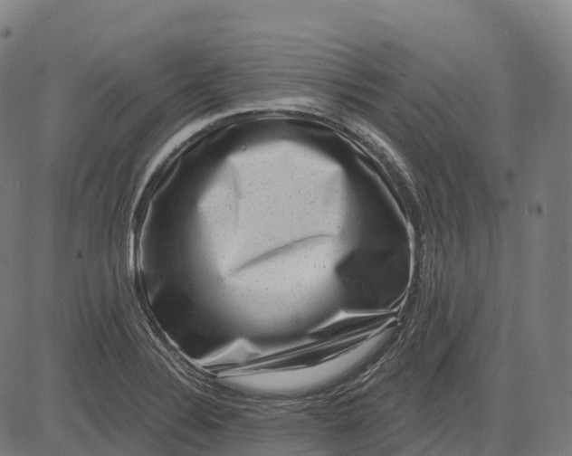 X0000082681324200702091622