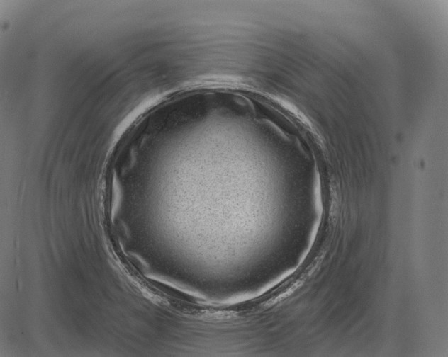 X0000082681325200702091622