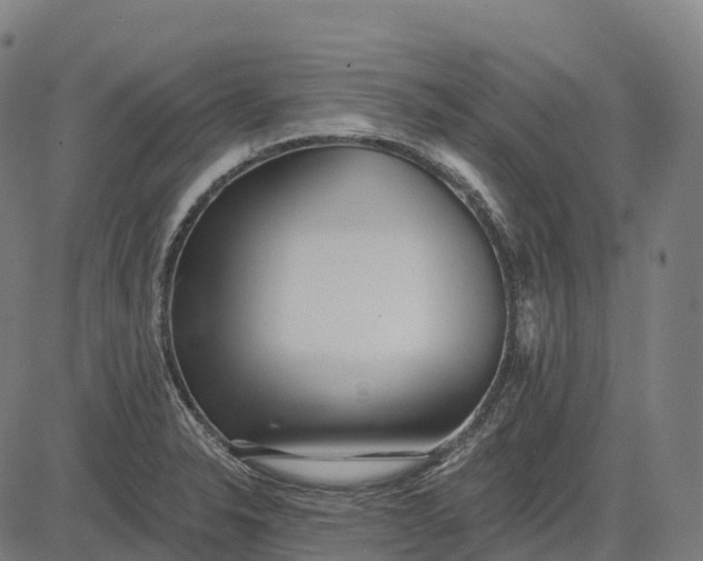 X0000082681326200702091622