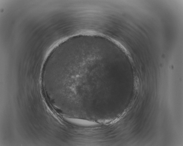 X0000082681327200702091622