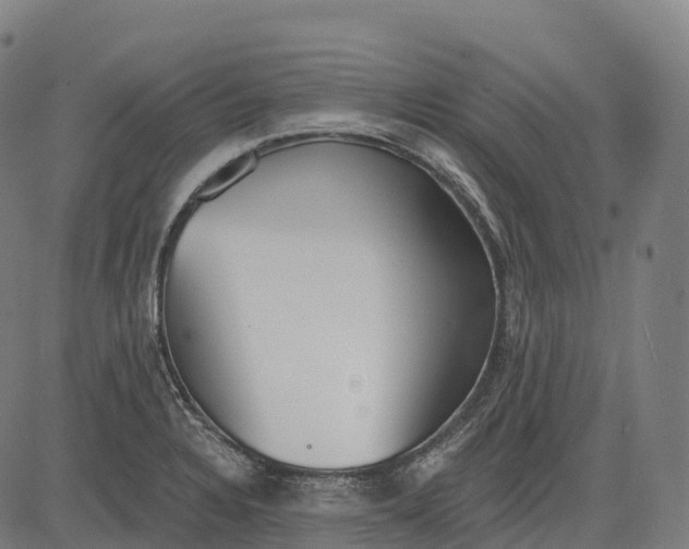 X0000082681328200702091622