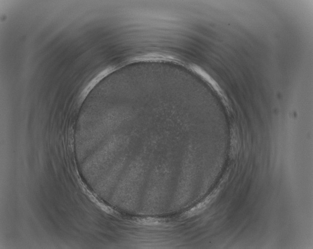 X0000082681329200702091622