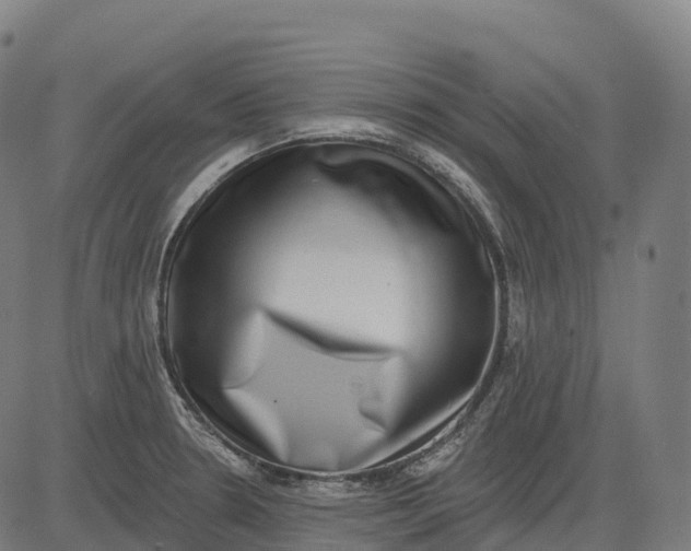 X0000082681330200702091622