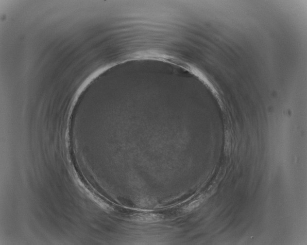 X0000082681331200702091622