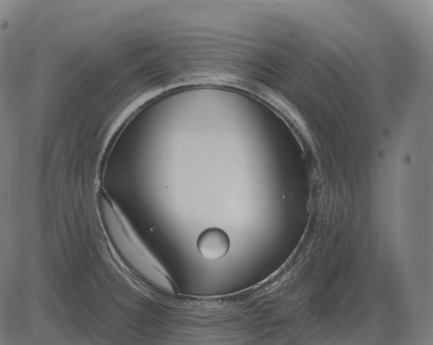 X0000082681332200702091622