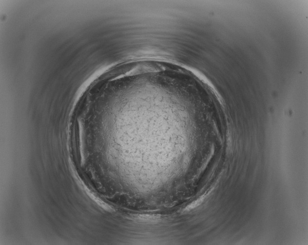 X0000082681333200702091623