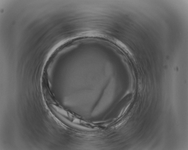 X0000082681334200702091623