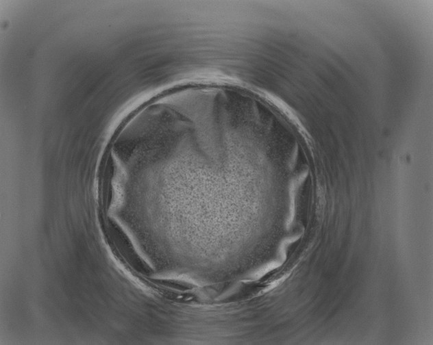 X0000082681335200702091623