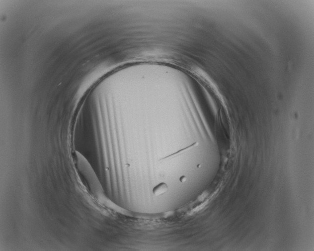 X0000082681336200702091623