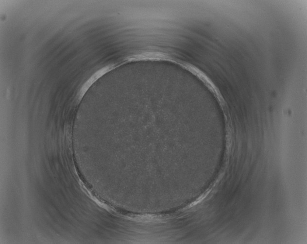 X0000082681337200702091623