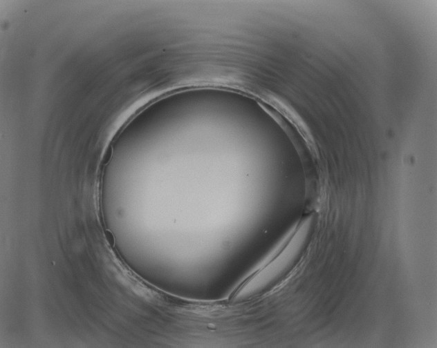 X0000082681340200702091623