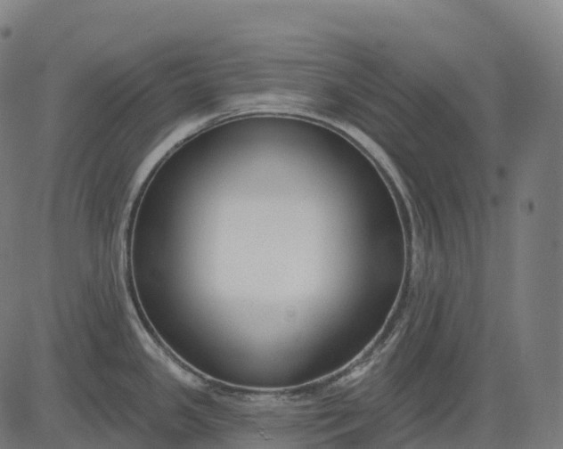 X0000082681341200702091623