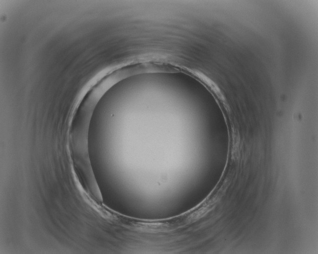 X0000082681342200702091623