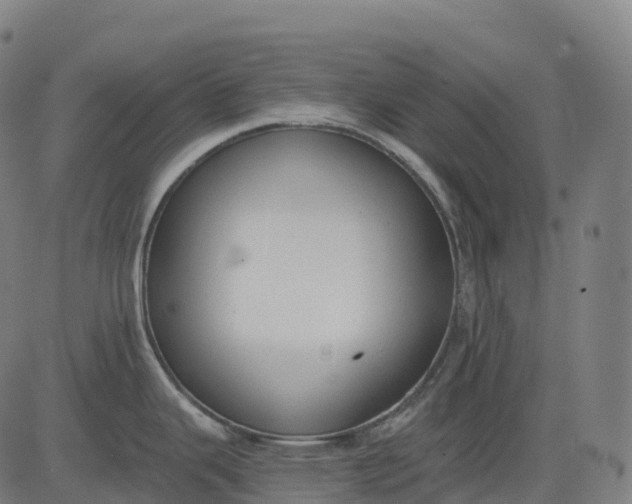 X0000082681343200702091623