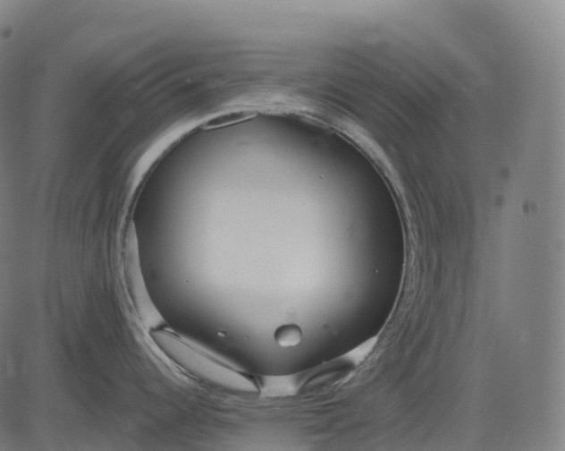 X0000082681344200702091623