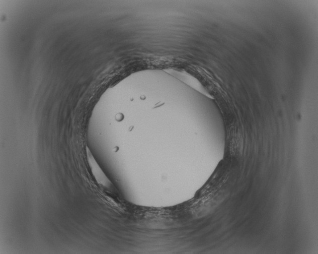 X0000082681345200702091622