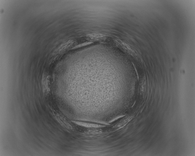 X0000082681346200702091622