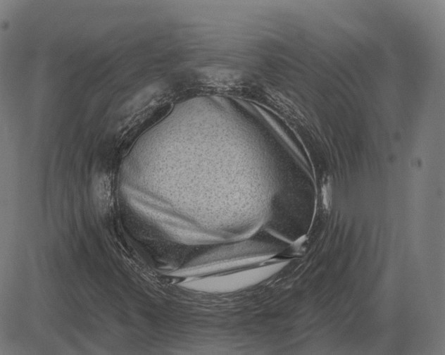 X0000082681347200702091622