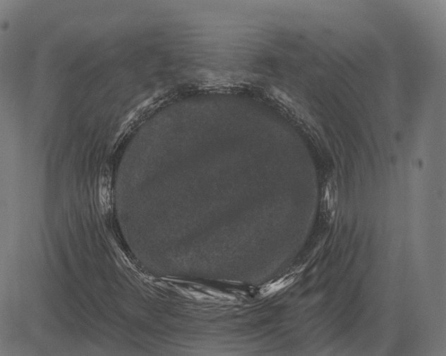 X0000082681348200702091622