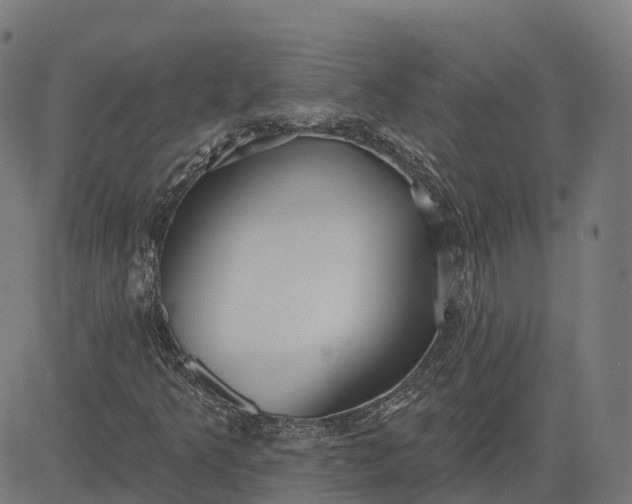 X0000082681349200702091622